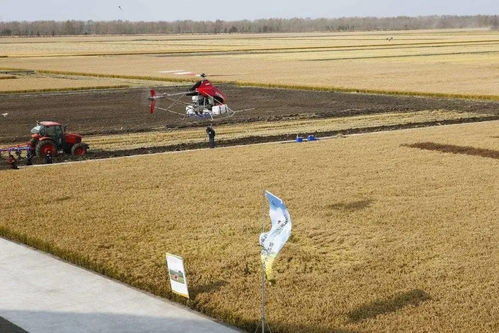 碧桂園進軍無人化農場 農業技術研究的新篇章