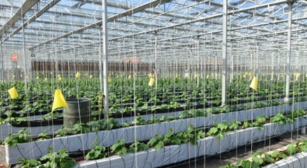 農業技術研究員評職稱 論文要求與科研能力的重要性