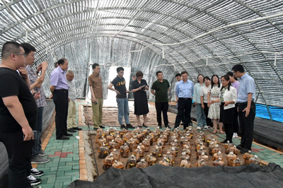 科技賦能邊疆農業 中國科協農技中心領導赴延邊州調研指導