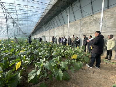 科技賦能 產(chǎn)業(yè)騰飛——市農(nóng)科院助力山東省蔬菜產(chǎn)業(yè)高質(zhì)量發(fā)展